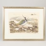 1754&nbsp;8268&nbsp;LITOGRAPH IN C..